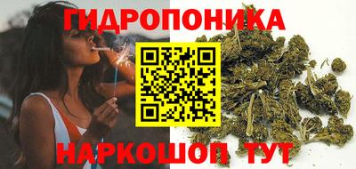 гашик Заводоуковск