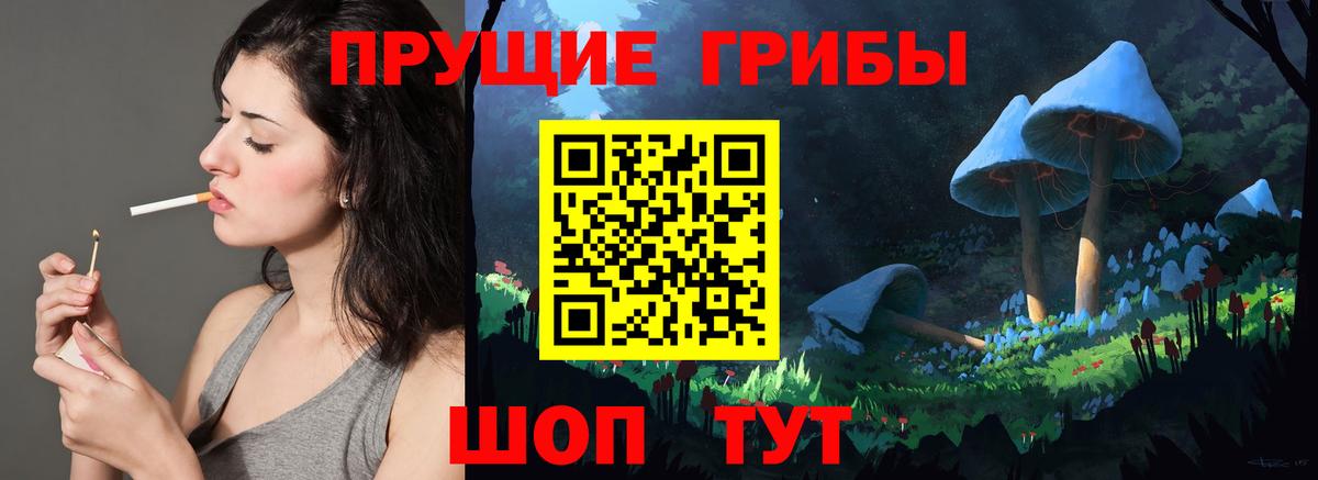 Псилоцибиновые грибы мухоморы  купить   Богданович  Вход с VPN  Галлюциногенные грибы мицелий 